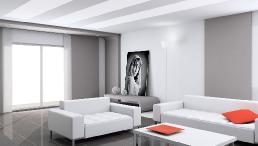 whitelivingroomdecor